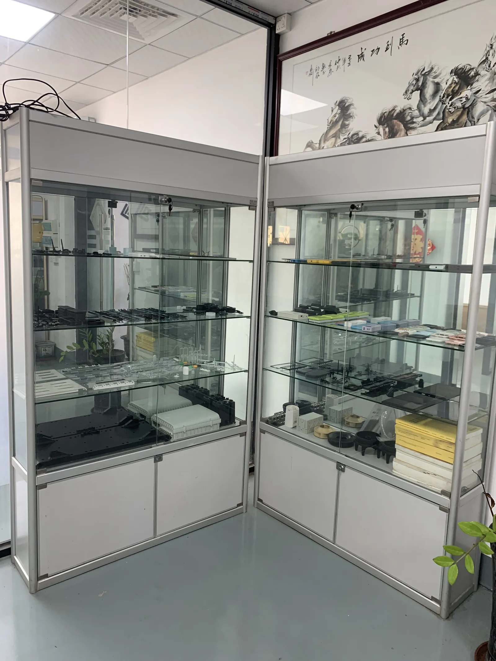 Customer showroom with display cases